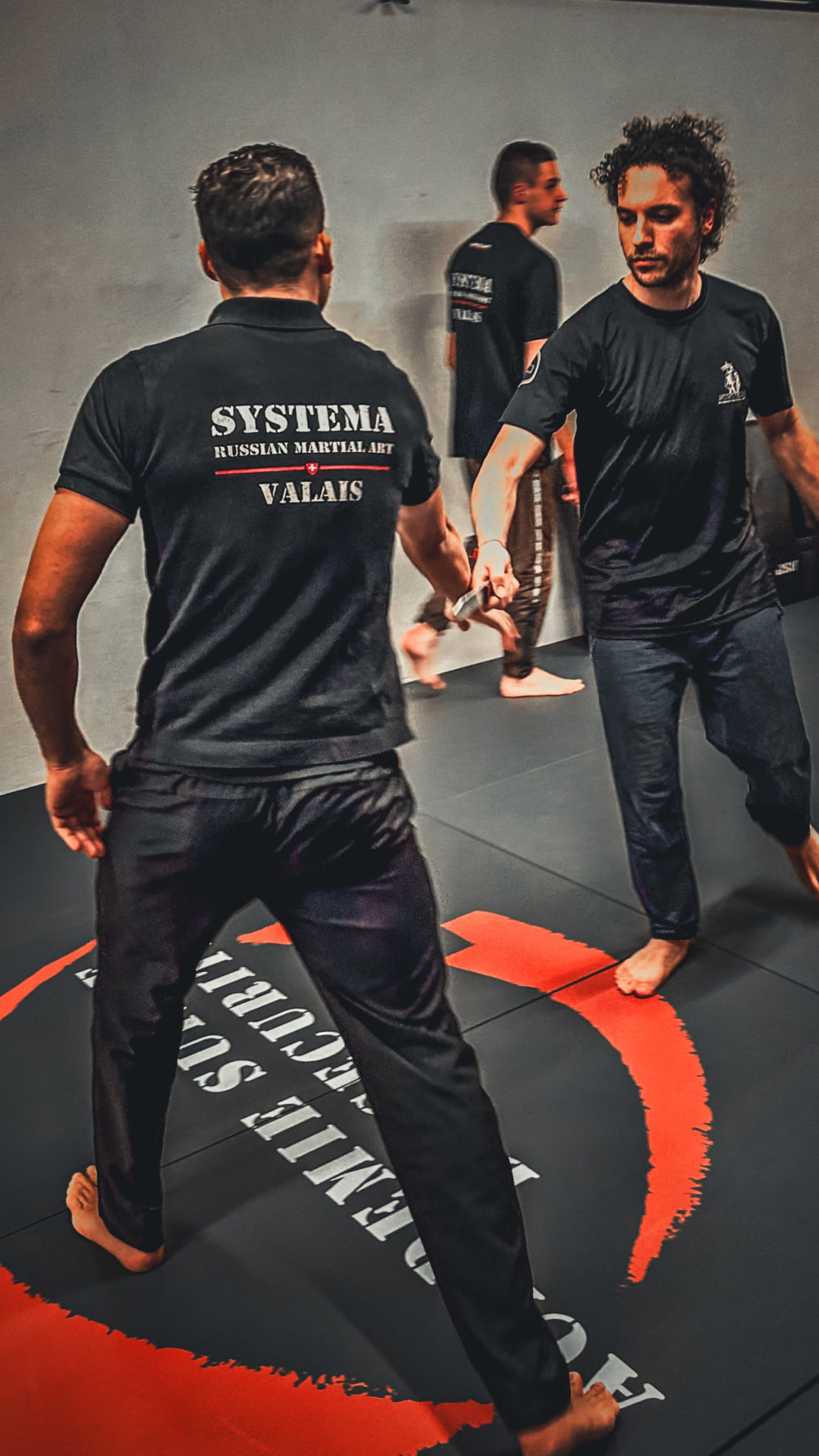 NEW Polo - OFFICIAL SYSTEMA VALAIS – Bild 4